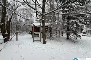 122 Snowflake Dr, Blakeslee, PA 18610 - Photo 96