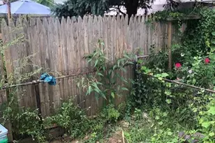 718 N Mohr St, Allentown, PA 18102 - Photo 24