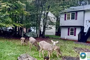 8440 Bear Trail Dr, Tobyhanna, PA 18466 - Photo 1