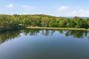 3301 Windermere Dr, Lehman Twp, PA 18324 - Photo 64
