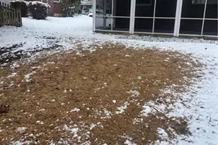 935 Buttonwood St, Emmaus, PA 18049 - Photo 44