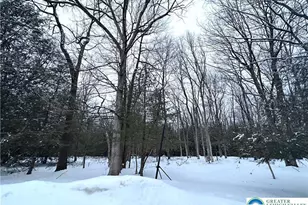 Hawk Ln, Penn Forrest, PA 18229 - Photo 4