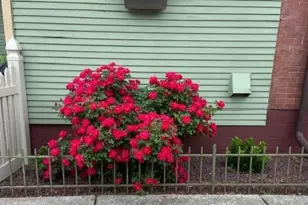 356 First St, Slatington, PA 18080 - Photo 54