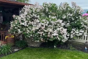 356 First St, Slatington, PA 18080 - Photo 50