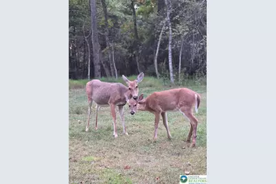 177 Elmwood Drive, Tunkhannock Twp, PA 18210 - Photo 46