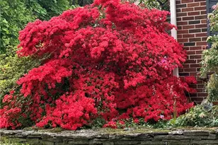 2840 Chew St, Allentown City, PA 18104 - Photo 4