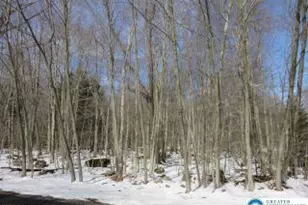 33 Cheyenne Trail, Lehigh Twp, PA 18424 - Photo 12