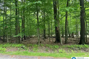 33 Cheyenne Trail, Lehigh Twp, PA 18424 - Photo 18