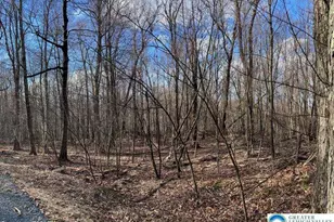 33 Cheyenne Trail, Lehigh Twp, PA 18424 - Photo 16