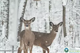 33 Cheyenne Trail, Lehigh Twp, PA 18424 - Photo 4