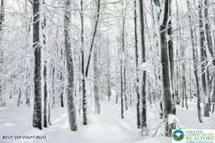 33 Cheyenne Trail, Lehigh Twp, PA 18424 - Photo 6