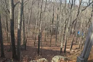 1107 Hampstead Ct, Bushkill, PA 18324 - Photo 16