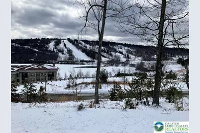 143 Moseywood Road, Kidder Twp, PA 18624 - Photo 48