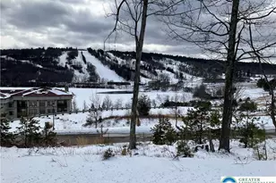 143 Moseywood Rd, Kidder Twp, PA 18624 - Photo 48