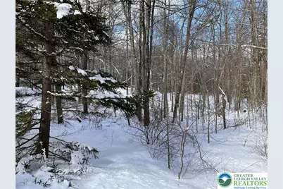 143 Moseywood Road, Kidder Twp, PA 18624 - Photo 44