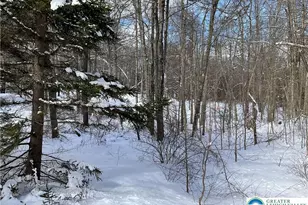 143 Moseywood Rd, Kidder Twp, PA 18624 - Photo 44