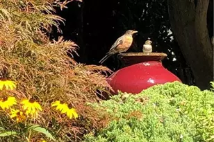 253 E Church St, Bethlehem, PA 18018 - Photo 50