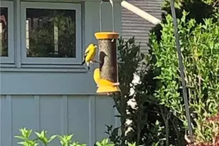 253 E Church St, Bethlehem, PA 18018 - Photo 48