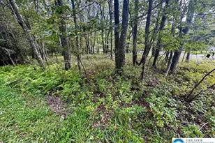 Lot 14 Ht Bear Ln, Penn Forrest, PA 18229 - Photo 1
