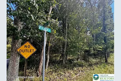 Lot 14 Ht Bear Lane, Penn Forrest, PA 18229 - Photo 4