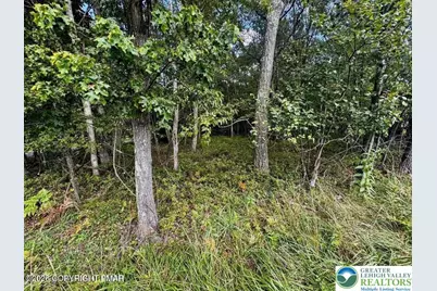 Lot 14 Ht Bear Lane, Penn Forrest, PA 18229 - Photo 2