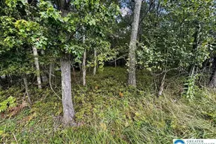 Lot 14 Ht Bear Ln, Penn Forrest, PA 18229 - Photo 2