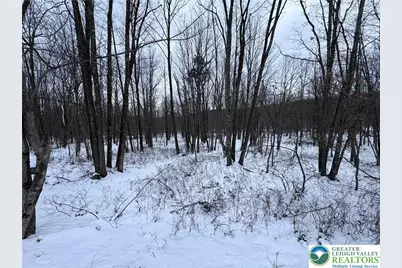 230 Elderberry Lane, Hazle Township, PA 18202 - Photo 2