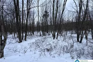 230 Elderberry Ln, Hazle Township, PA 18202 - Photo 2