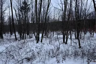 230 Elderberry Ln, Hazle Township, PA 18202 - Photo 1