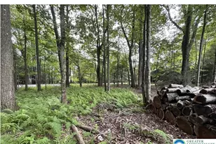 1151 Lexington Ave, Coolbaugh Twp, PA 18344 - Photo 2