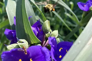 822 N Leh St, Allentown City, PA 18104 - Photo 8