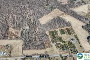 Back Rd, Ryan Twp, PA 18214 - Photo 10