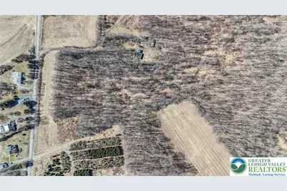 Back Road, Ryan Twp, PA 18214 - Photo 2