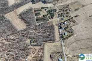 Back Rd, Ryan Twp, PA 18214 - Photo 8