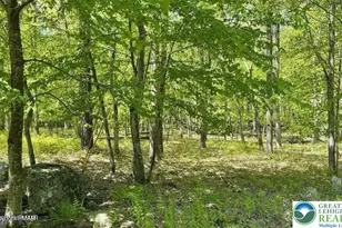 0 Mallard Ln, Pike, PA 18324 - Photo 8