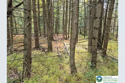 Millheim Road, Moore Township, PA 18014 - Photo 2