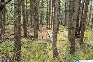 Millheim Rd, Moore Township, PA 18014 - Photo 2