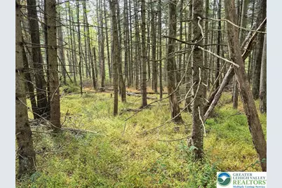 Millheim Road, Moore Township, PA 18014 - Photo 4