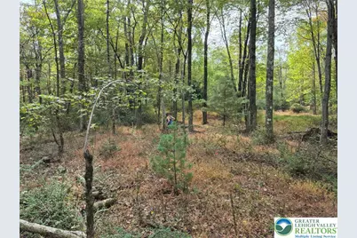 Millheim Road, Moore Township, PA 18014 - Photo 6