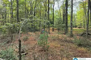 Millheim Rd, Moore Township, PA 18014 - Photo 6