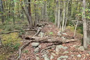 Millheim Rd, Moore Township, PA 18014 - Photo 8