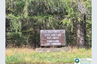 Millheim Road, Moore Township, PA 18014 - Photo 10