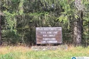 Millheim Rd, Moore Township, PA 18014 - Photo 10