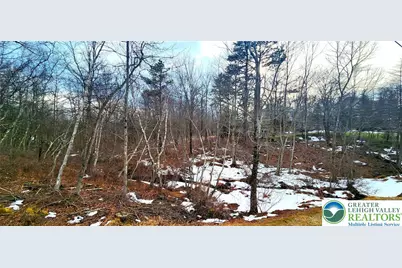 Clover Road, Tunkhannock Twp, PA 18334 - Photo 2