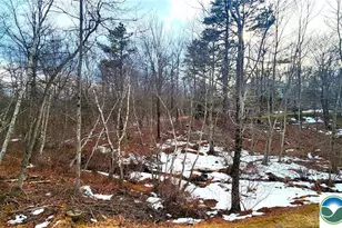 Clover Rd, Tunkhannock Twp, PA 18334 - Photo 2