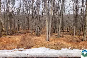 Brook Run Ln, Tunkhannock Twp, PA 18210 - Photo 2