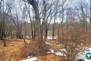 124 Brook Run Ln, Tunkhannock Twp, PA 18210 - Photo 4