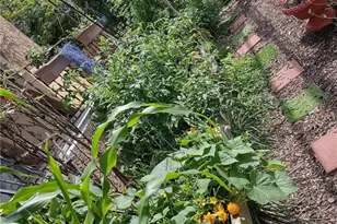 1291 Seidersville Rd, Lower Saucon Township, PA 18015 - Photo 56