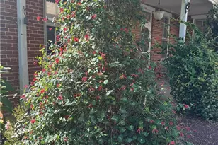 240 Franklin, Alburtis Boro, PA 18011 - Photo 26