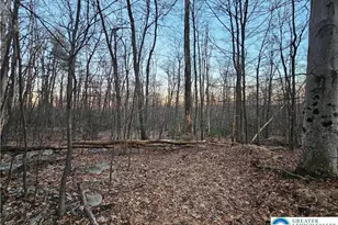 8313 Sacks Dr, Lynn Township, PA 18066 - Photo 1